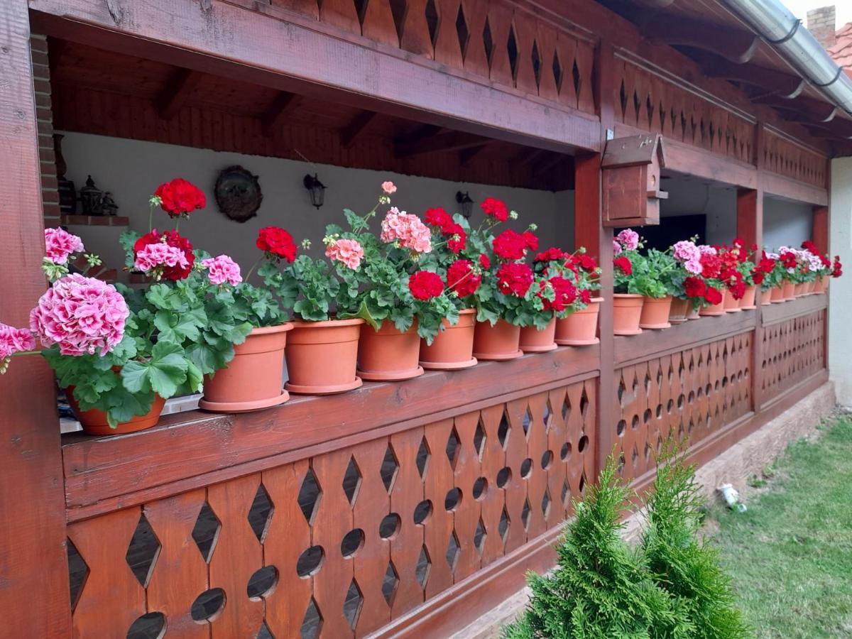 Casa Miki Hotel Hateg Exterior photo